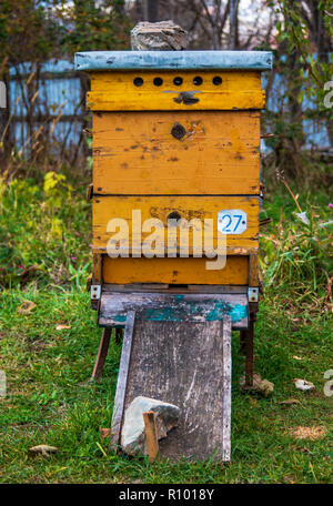 Bienenstöcke in der Imkerei. Abschluss der Sommersaison von Honig Sammlung und Herbst Vorbereitung für die Überwinterung von Insekten. Stockfoto