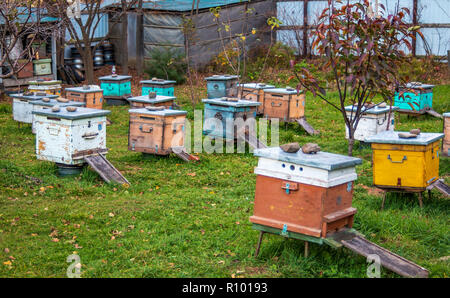 Bienenstöcke in der Imkerei. Abschluss der Sommersaison von Honig Sammlung und Herbst Vorbereitung für die Überwinterung von Insekten. Stockfoto