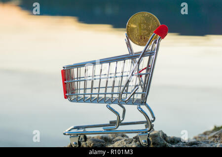 Cryptocurrency bitcoin in einem Warenkorb Schuß auf Landschaft See Sonnenuntergang Stockfoto