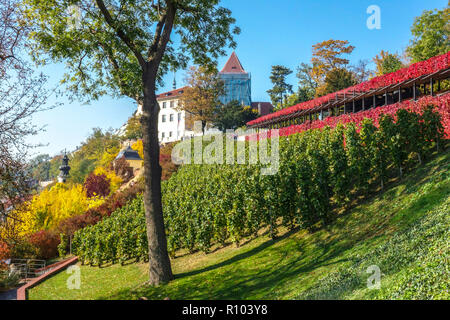 Prager Herbstgärten, Prager Weinberge im Herbst. St. Wenzel Weinberg unterhalb Prager Schlossgarten, Tschechische Republik Herbst Stockfoto