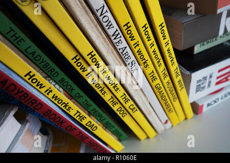 Nahaufnahme der Titel auf eine zufällige Sammlung von Marienkäfer für Grown-Ups, Wie man Bücher Stockfoto