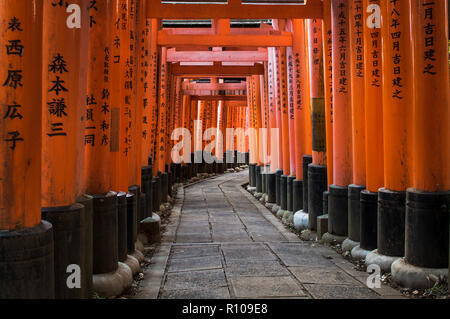 Fushimi Inari Taisha in Kyoto, Japan. Abgebildete Torii Tore. Stockfoto