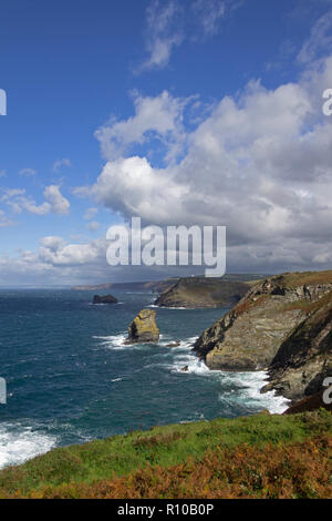 Klippen, South West Coast Path zwischen Boscastle und Tintagel, Cornwall, England, Großbritannien Stockfoto