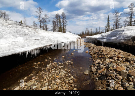 Canyon gewaschen von einem Bach in einem Gletscher im Frühjahr in Jakutien, Russland Stockfoto