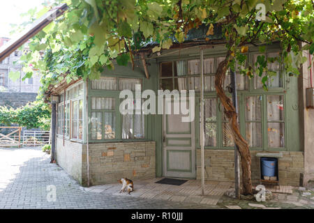 Alte Häuser von Batumi, Georgien. Stockfoto