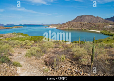 El Requeson Strand zeigt die Schönheit in der Natur, in Conception Bay oder Bahia Concepcion befindet, durch das Meer der Cortes in der Mitte der Baja Halbinsel Stockfoto