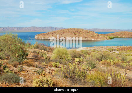 El Requeson Strand zeigt die Schönheit in der Natur, in Conception Bay oder Bahia Concepcion befindet, durch das Meer der Cortes in der Mitte der Baja Halbinsel Stockfoto