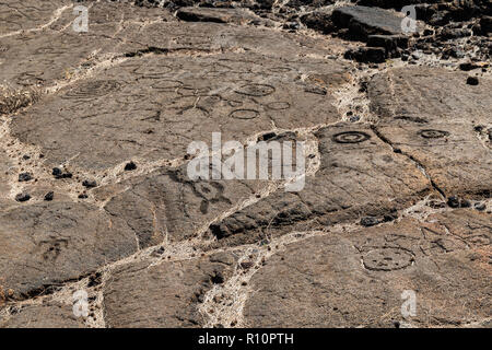 Felszeichnungen in Waikoloa Feld, auf der King's Trail ('Mamalahoa'), in der Nähe von Kona auf der grossen Insel von Hawaii. In vulkanischen Felsen. Stockfoto