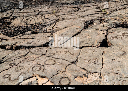 Felszeichnungen in Waikoloa Feld, auf der King's Trail ('Mamalahoa'), in der Nähe von Kona auf der grossen Insel von Hawaii. In vulkanischen Felsen. Stockfoto