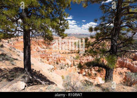 Anzeigen von hoodoo Formationen von entlang der Felge in der Nähe von Sunrise Point im Bryce Canyon National Park, Utah, USA. Stockfoto