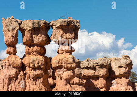 Anzeigen von hoodoo Formationen von den Navajo Loop Trail im Bryce Canyon National Park, Utah, USA. Stockfoto