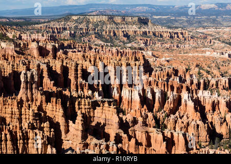 Anzeigen von hoodoo Formationen von den Navajo Loop Trail im Bryce Canyon National Park, Utah, USA. Stockfoto