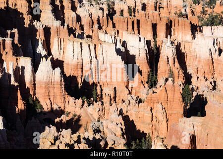 Anzeigen von hoodoo Formationen von den Navajo Loop Trail im Bryce Canyon National Park, Utah, USA. Stockfoto