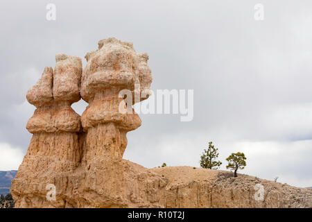 Anzeigen von hoodoo Formationen von entlang der Felge im Bryce Canyon National Park, Utah, USA. Stockfoto