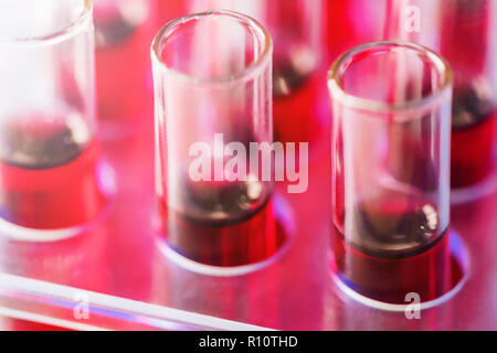 Reagenzgläser Nahaufnahme im medizinischen Labor angeordnet. Medizinischen Analyse Immunität Viren Konzept. Stockfoto