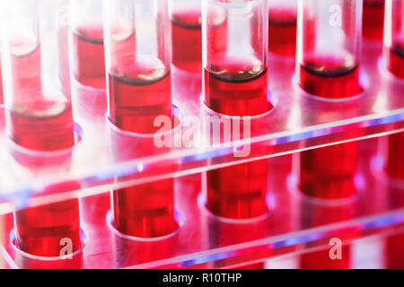 Reagenzgläser Nahaufnahme im medizinischen Labor angeordnet. Medizinischen Analyse Immunität Viren Konzept. Stockfoto