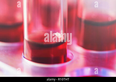 Reagenzgläser Nahaufnahme im medizinischen Labor angeordnet. Medizinischen Analyse Immunität Viren Konzept. Stockfoto