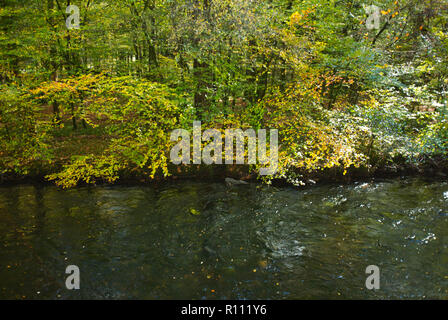 Herbstliche Farben auf dem Fluss Teign innerhalb von Dartmoor National Park, UK. Stockfoto