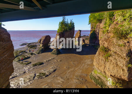 Hopewell Cape, Kanada - 24 September 2018: Ansicht der Hopewell Felsen bei Ebbe, mit Besuchern. New Brunswick, Kanada Stockfoto