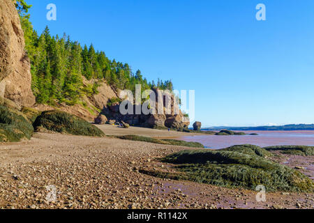 Hopewell Cape, Kanada - 24 September 2018: Ansicht der Hopewell Felsen bei Ebbe, mit den Besuchern, die mit ihren Hunden spazieren. New Brunswick, Kanada Stockfoto