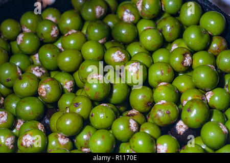 Reif grün acai Beeren, als 'Weiße acai', nicht eine eigene Art von Euterpe oleracea, einfach eine Variation in der Farbe bekannt Stockfoto