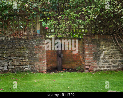 Alte gusseiserne Standrohr, Fyfield, Oxfordshire, Großbritannien Stockfoto