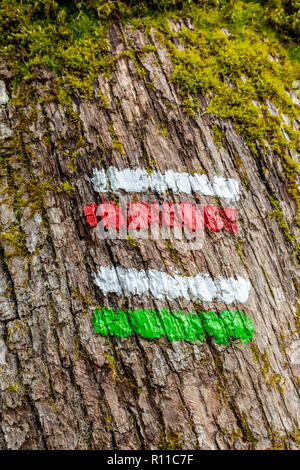 In der Nähe von Wander- Indikatoren auf der Rinde eines Baumes in einem französischen Wald Stockfoto