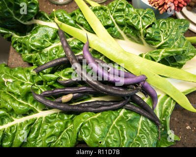 Frisch gepflückte Gemüse aus dem Garten im Herbst. Mangold und Zwerg Bohnen Purple Teepee Stockfoto