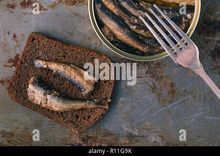 Zinn von Sprotten in Öl Stockfoto