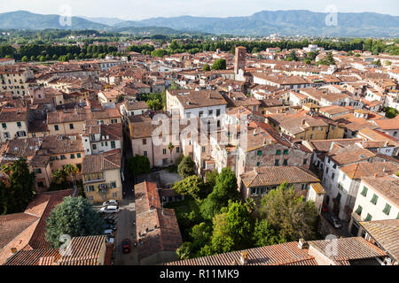 Die Dächer der mittelalterlichen Stadt Lucca als vom Torre Guinigi oder Guinigi Turm gesehen. In der Mitte ist die Torre Chiesa di San Pietro Stockfoto