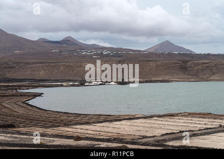 Natürliches Salz Verdunstung Teich auf der Insel Lanzarote in Salinas de Janubio, Kanarische Inseln, Spanien Stockfoto