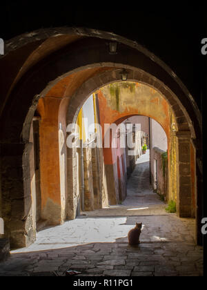 Charakteristischen Gedeckten Gänge in der mittelalterlichen Ortschaft Tuscania (Italien), mit einer Katze im Gegenlicht. Stockfoto