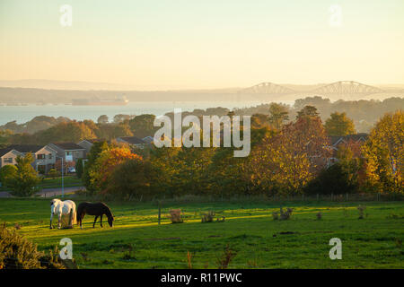 Mit Blick auf die Forth Rail Bridge von Dalgety Bay Fife in Schottland. Stockfoto