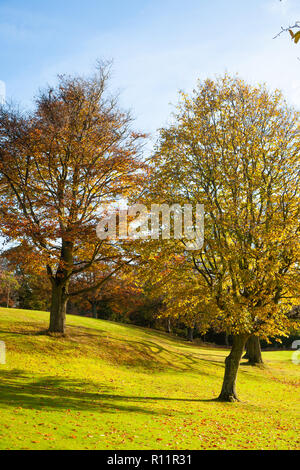 Herbstfarben im Pittencrieff Park Dunfermline Fife Schottland Stockfoto