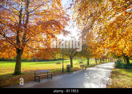 Herbstfarben im Pittencrieff Park Dunfermline Fife Schottland Stockfoto