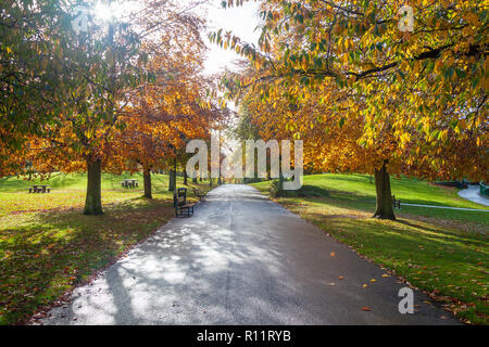 Herbstfarben im Pittencrieff Park Dunfermline Fife Schottland Stockfoto