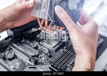 Installieren oder die Kühlung des PC-Prozessor reparieren. Stockfoto