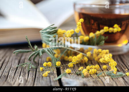 Das zweimal jährlich erscheinende Mode-Special Blumen und offenen Bücher auf dem Tisch Stockfoto