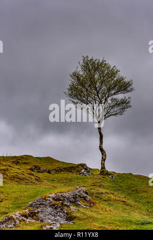 Atemberaubenden schottischen Landschaften im Herbst - schöne stimmungsvolle Bilder von den meisten Ikonischen Orte auf der Insel Skye - beliebtes Reiseziel Stockfoto
