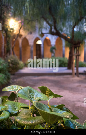 Kreuzgang neben der Kirche von San Francesco/Chiostro di San Francesco im Stadtzentrum von Sorrent auf die Amalfi Küste. Nach dem Regen fotografiert. Stockfoto