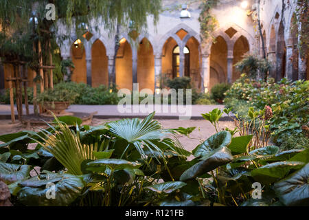 Kreuzgang neben der Kirche von San Francesco/Chiostro di San Francesco im Stadtzentrum von Sorrent auf die Amalfi Küste. Nach dem Regen fotografiert. Stockfoto