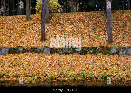 Riverbank mit Laub bedeckt. Herbst in der russischen Park Stockfoto