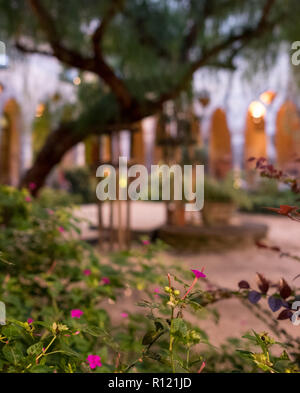 Die herrliche open air Kloster neben der Kirche von San Francesco/Chiostro di San Francesco im Stadtzentrum von Sorrent auf die Amalfi Küste. Stockfoto