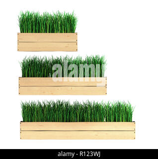 Gras in einen Blumentopf Sammlung 3d-Abbildung auf weißem Hintergrund Stockfoto