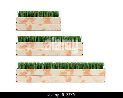 Gras in einen Blumentopf Sammlung 3D-Render auf weißem Hintergrund Stockfoto