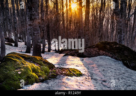 Sonnenuntergang in Monte Amiata Stockfoto