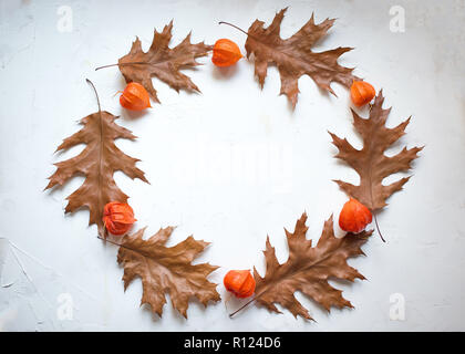 Herbst Kranz aus Herbst Ahorn Blätter und physalis Blumen. Flach, Ansicht von oben Stockfoto