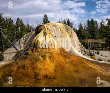 WY 03505-00 ... WYOMING - Orange Damm entlang der oberen Terrasse Drive in den Mammoth Hot Springs, Yellowstone National Park. Stockfoto