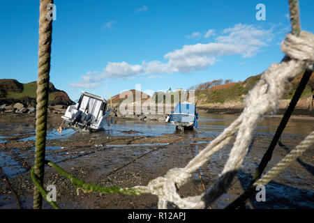 Watermouth Cove North Devon bei Ebbe zeigt auf Yachten und Boote an einem sonnigen Tag Stockfoto