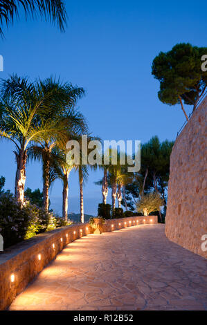 Lit Fußweg von Palmen Stockfoto